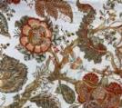 Fiori Arancio
